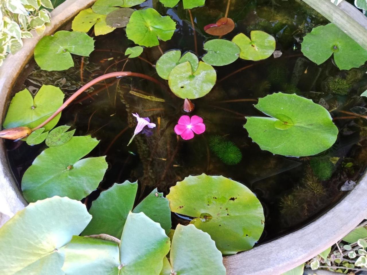A Lanna Boutique House Hotell Chiang Mai Exteriör bild